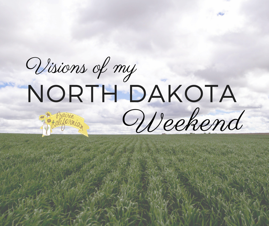 Visions of My North Dakota Weekend