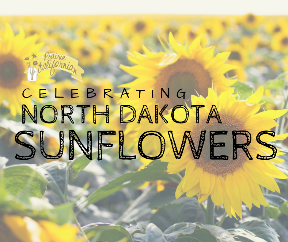 Celebrating North Dakota Sunflowers