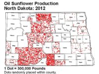 Where to Find Sunflowers – Prairie Californian