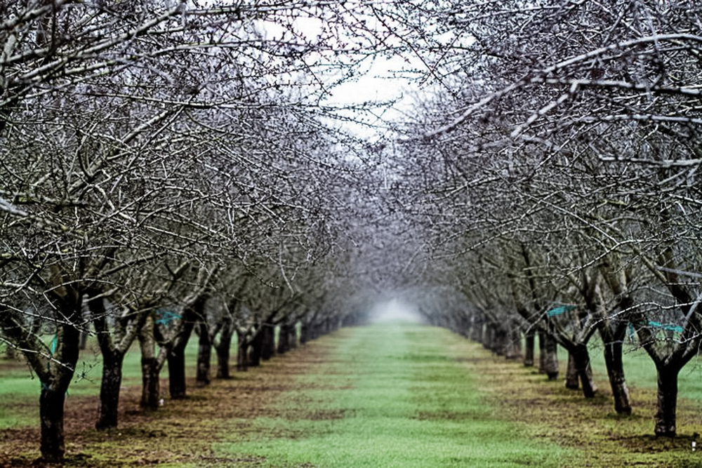 How Do You Celebrate National Agriculture Day..?