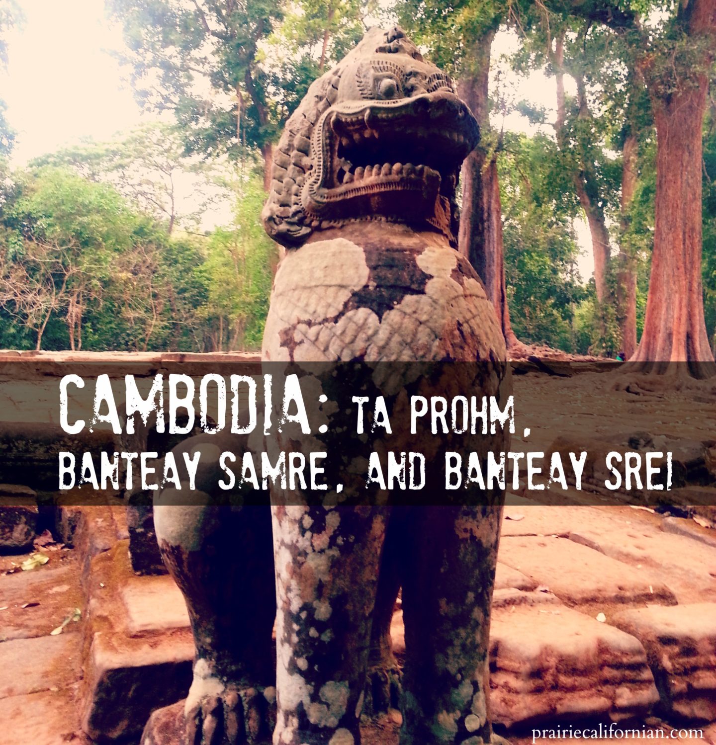 Cambodia: Ta Prohm, Banteay Samre, & Banteay Srei