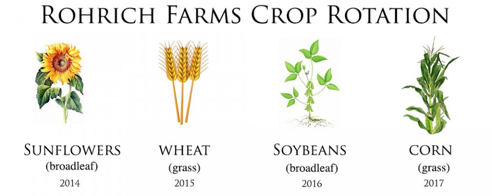 Crop Rotation