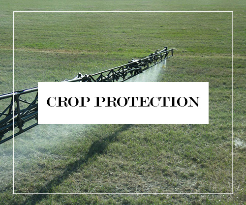Crop Protection Button