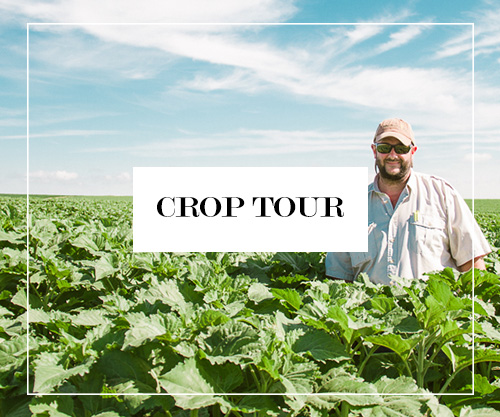 Crop Tour Button