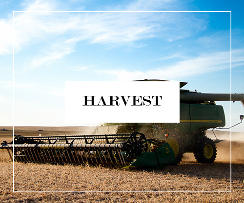 Harvest Button