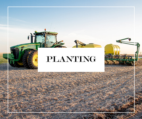 Planting Button