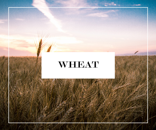 Wheat Button