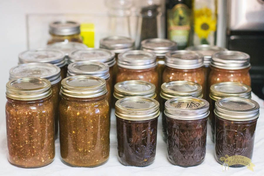 Intro to Canning: Tips, Tricks, & Tools
