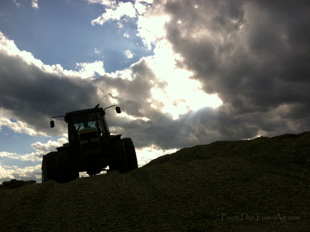 Lauren Arbogast 3 - Tractor on Silage_PaintTheTownAg