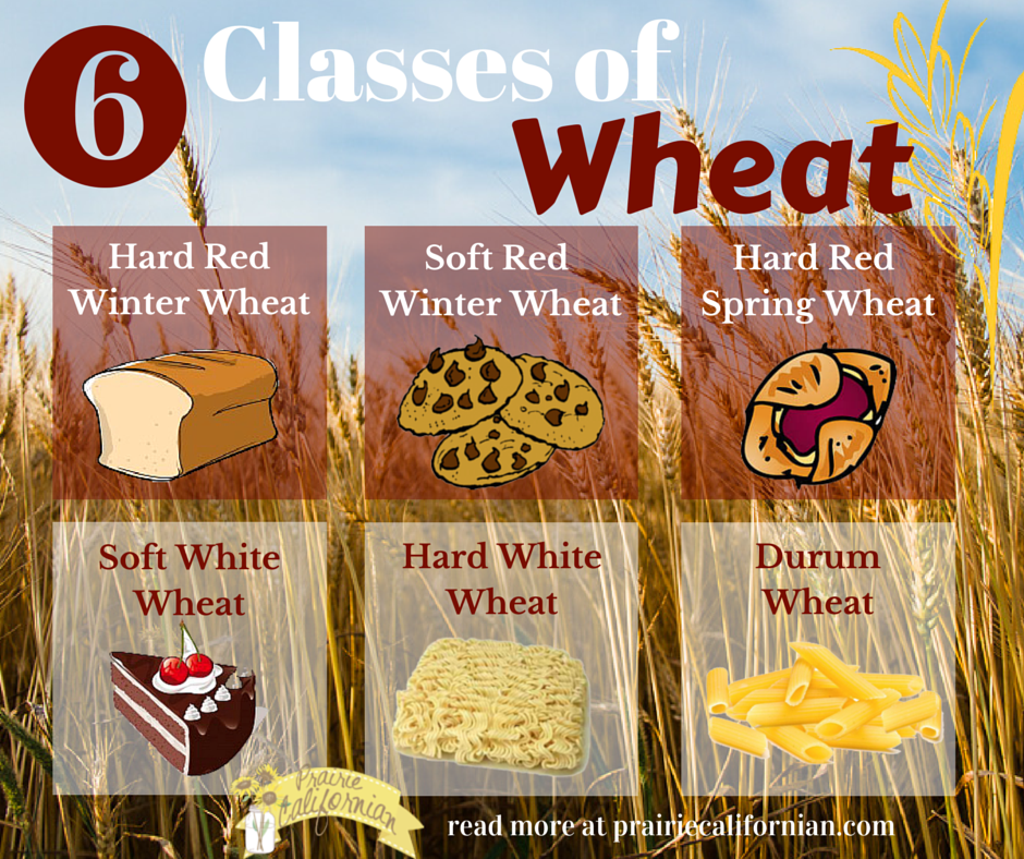 All Wheat Is Not Created Equal Six Classes Of Wheat