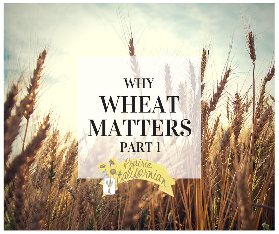 Why Wheat Matters Part 1