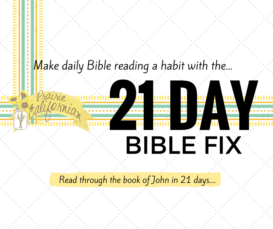 21 Day Bible Fix