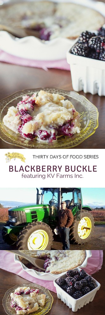 Blackberry Buckle featuring KV Farms Inc - Prairie Californian