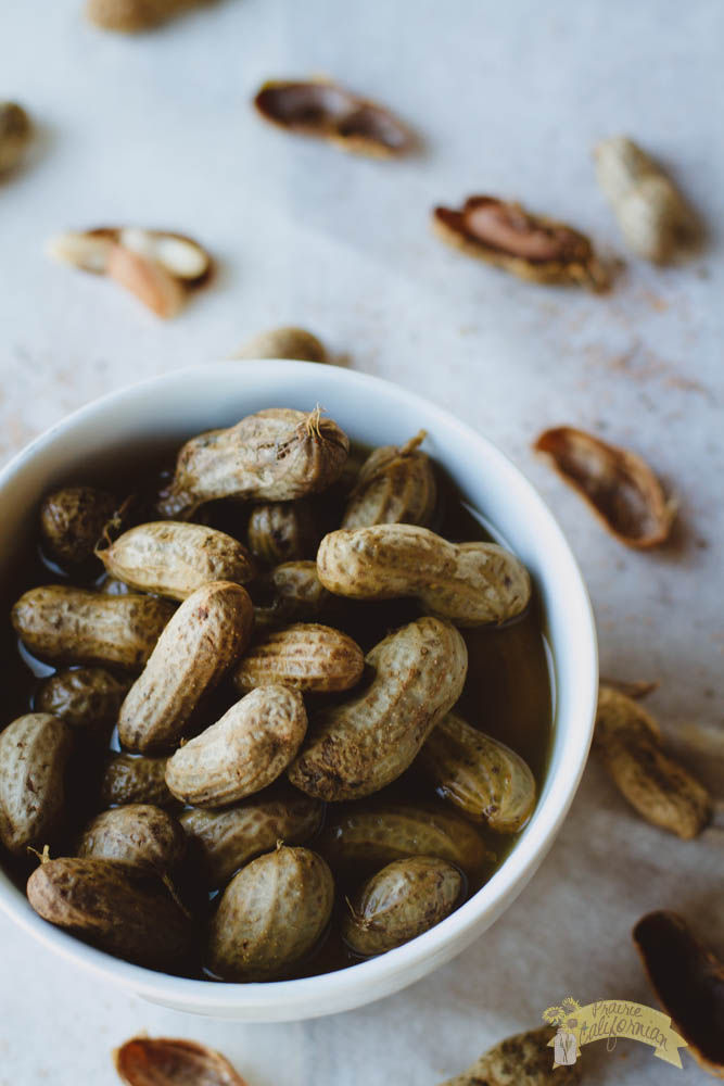 cajun-boiled-peanuts-6