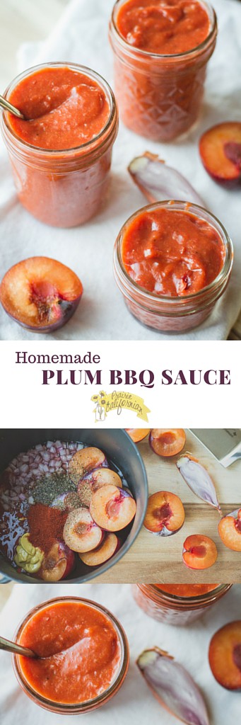 Homemade Plum BBQ Sauce - Prairie Californian