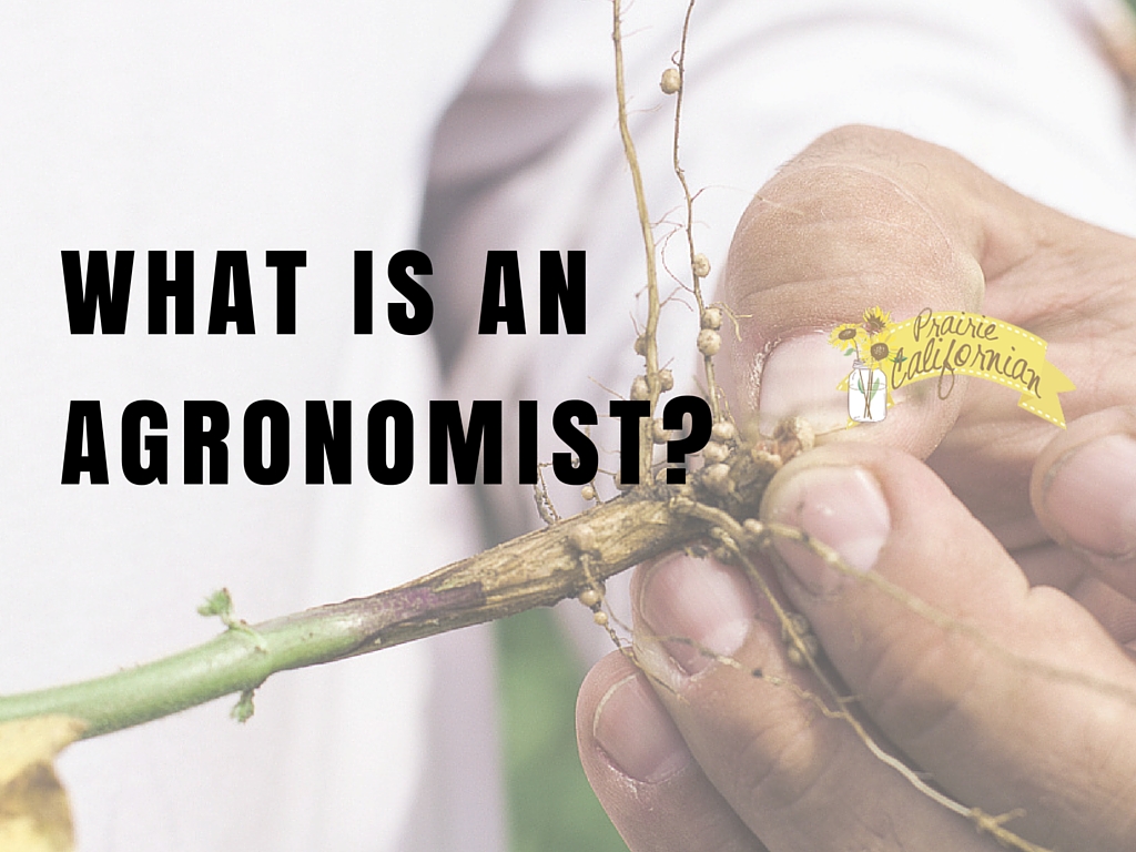 What is an Agronomist?