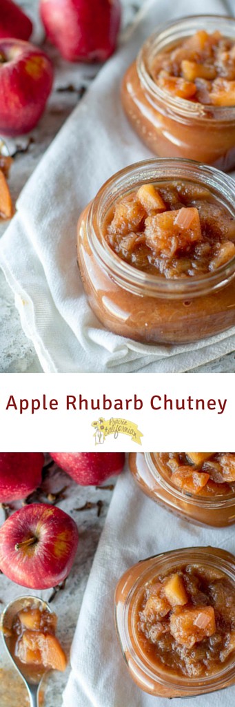 Apple Rhubarb Chutney - Prairie Californian