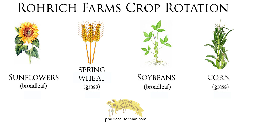 Crop Rotation