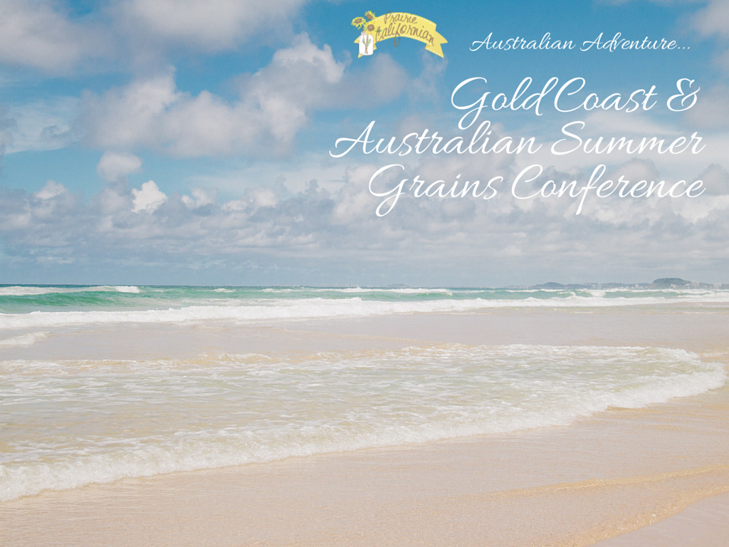 Australian Adventure Part 3: Gold Coast & ASGC16