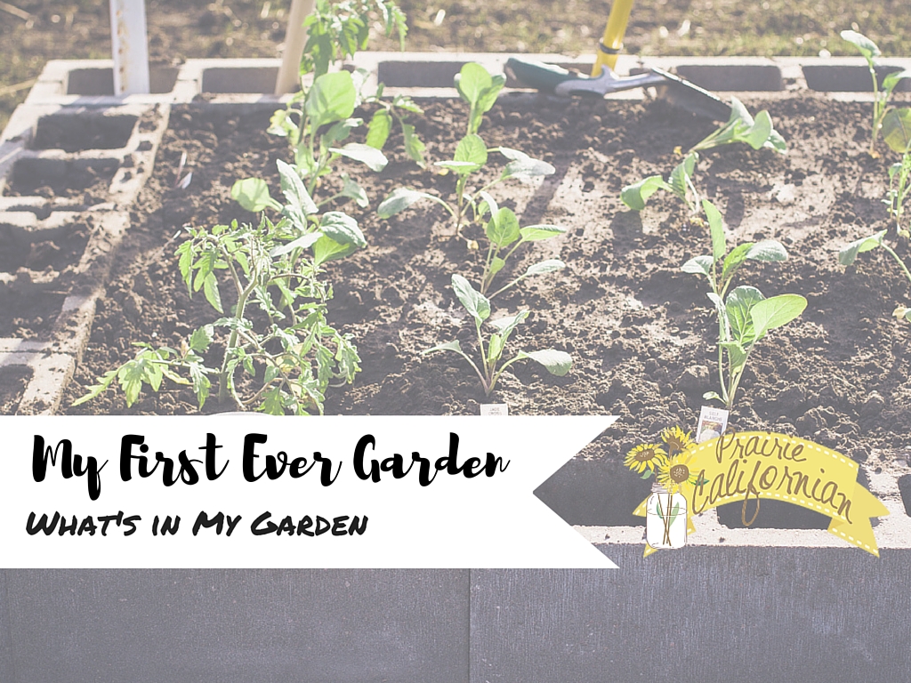 My First Ever Garden: What’s in My Garden