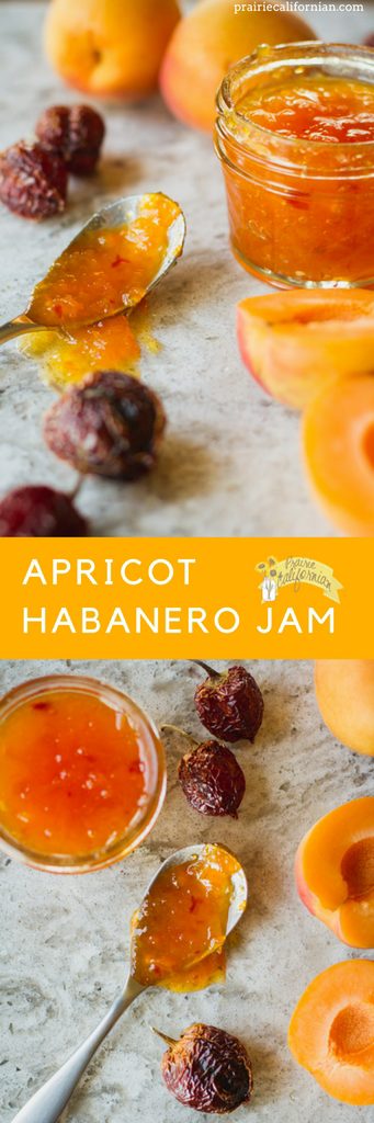 Apricot Habanero Jam - Prairie Californian