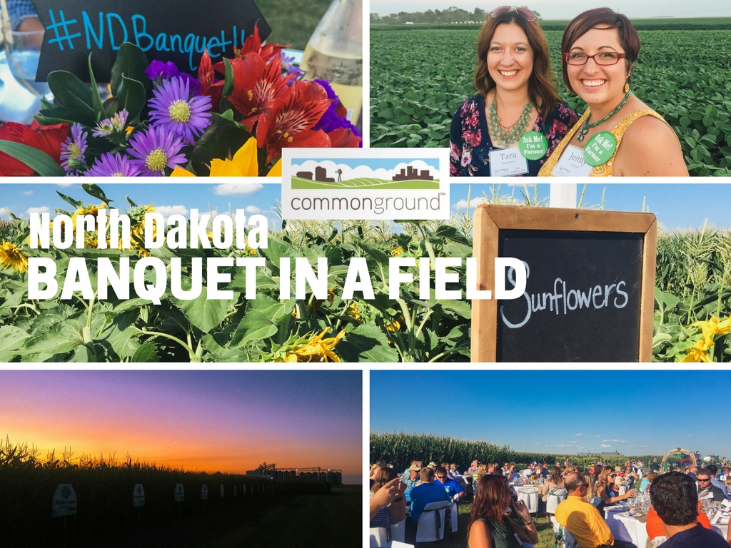 North Dakota Banquet in a Field