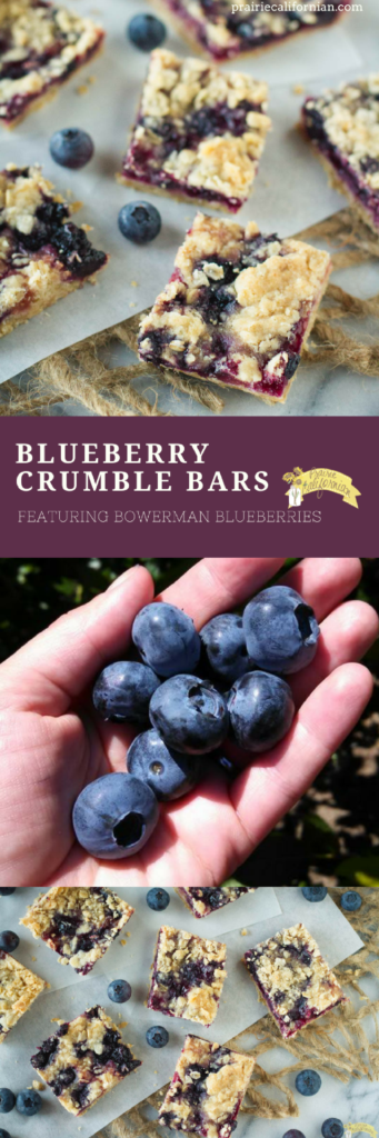 blueberry-crumble-bars-prairie-californian