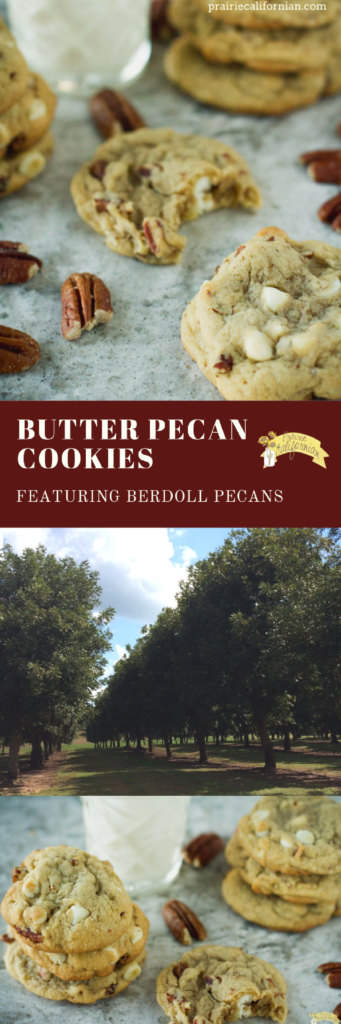 butter-pecan-cookies-prairie-californian