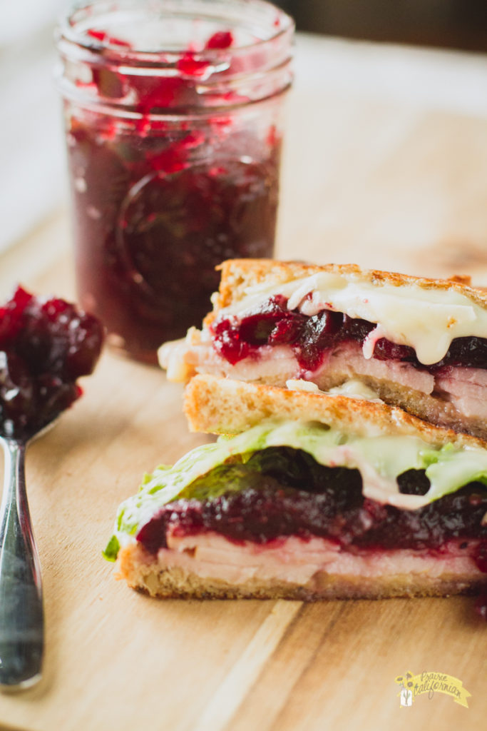 turkey-cranberry-melt-3