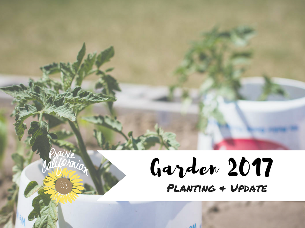 Garden 2017: Planting & Update