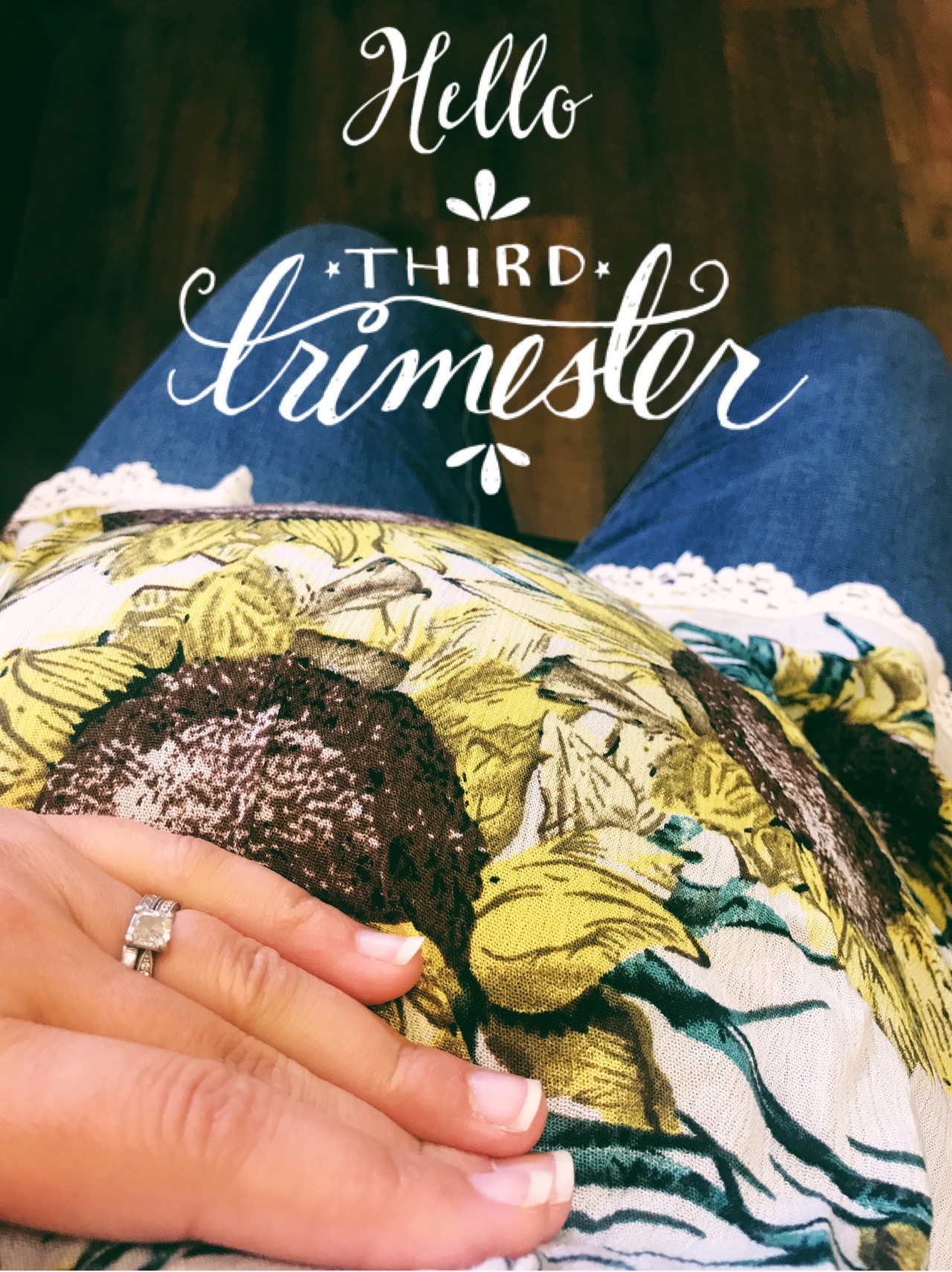 Pregnancy Update: Hello Third Trimester