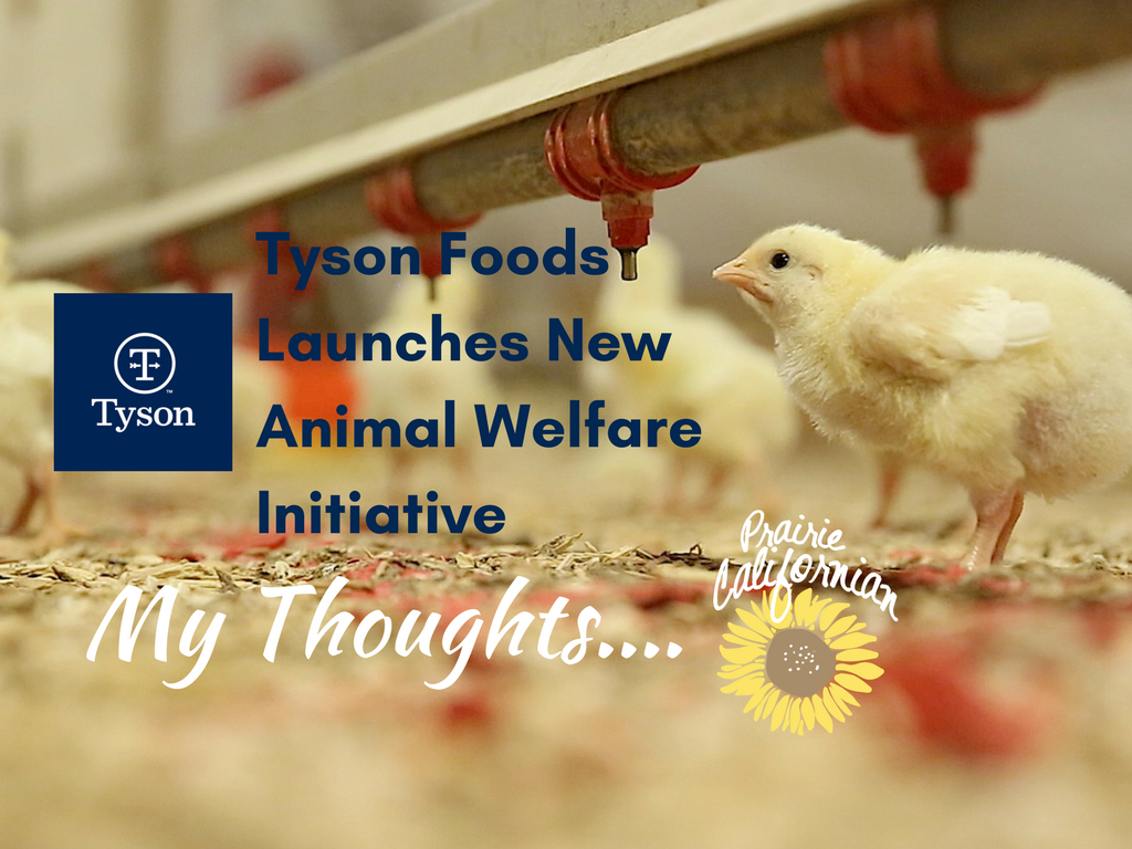 Tyson Foods Launches New Animal Welfare Initiative