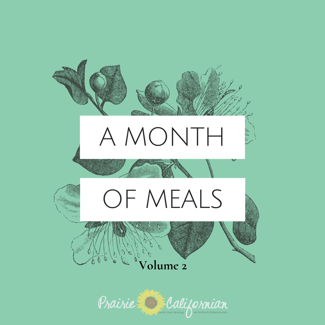 My Monthly Meal Plan, Vol. 2