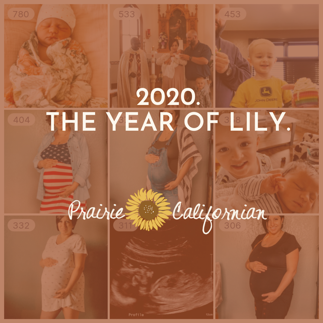 2020. The Year of Lily.