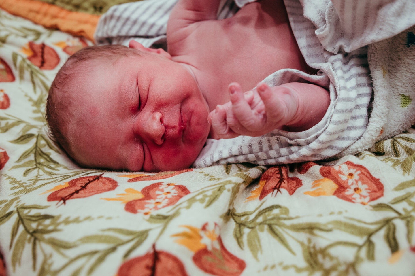 Luke David: The Perfect Number Four